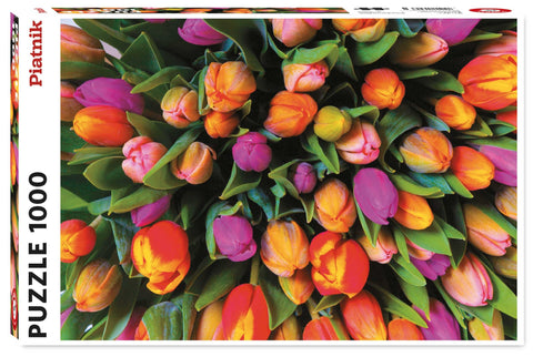 PZ1000 Tulips