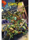 Teenage Mutant Ninja Turtles - Heroes