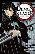 Demon Slayer Volume 12