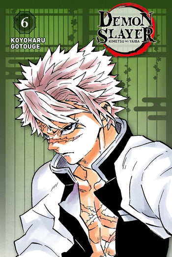 Demon Slayer Ed.Pilier Tome 6