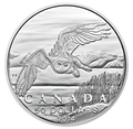 2014 50$ Harfang Des Neiges