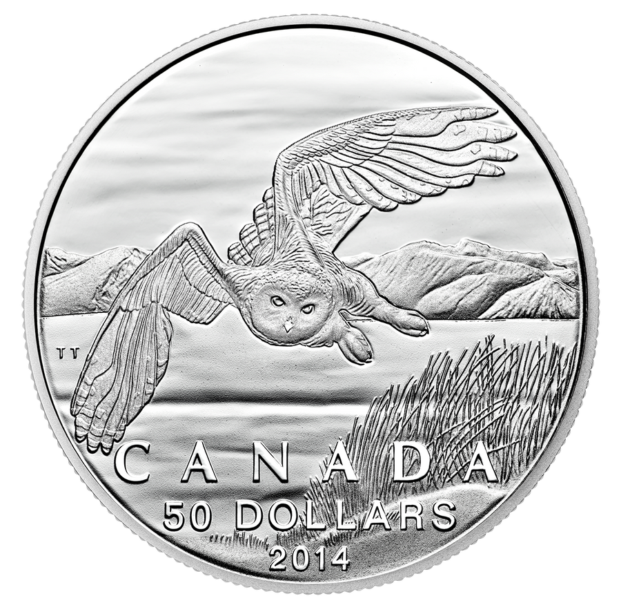 2014 50$ Harfang Des Neiges