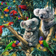 PZ500 Koalas dans l'arbre