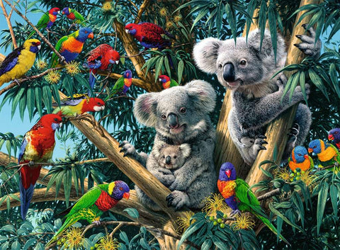 PZ500 Koalas dans l'arbre