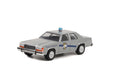 Rain Man 1983 Ford Victoria
