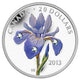 2013 20$ L'Iris Versicolore