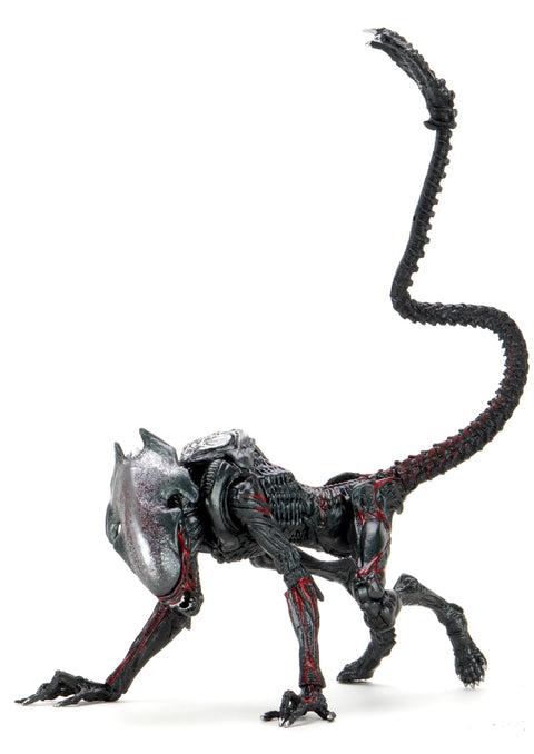 Aliens Night Cougar Alien