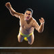Andre The Giant Ultimates AF