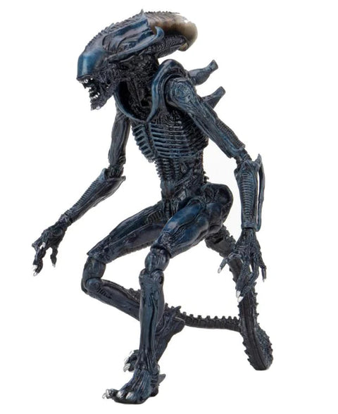 AVP - Arachnoid Alien