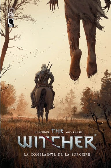 The Witcher Complainte Sorcière