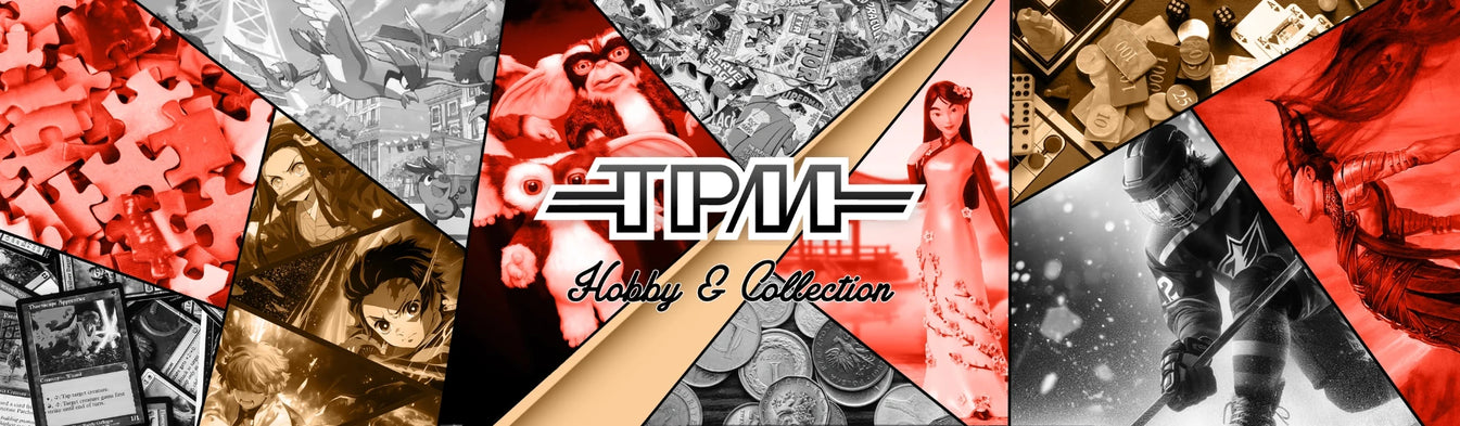 Figurines, mangas, cartes, hockey